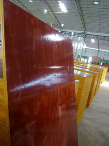 建筑模板厂为您提供质量上乘的广西模板