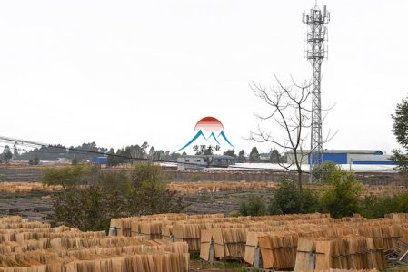 2019年3月份广西建筑胶合板价格表