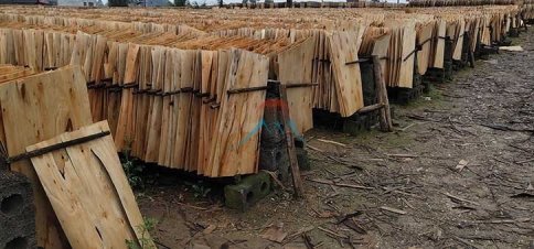 广西「建筑模板」不仅涨价了，而且还不一定有货