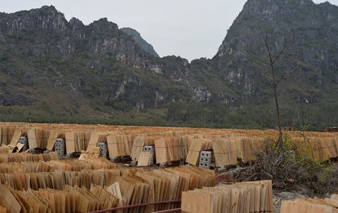 广西建筑模板生产基地